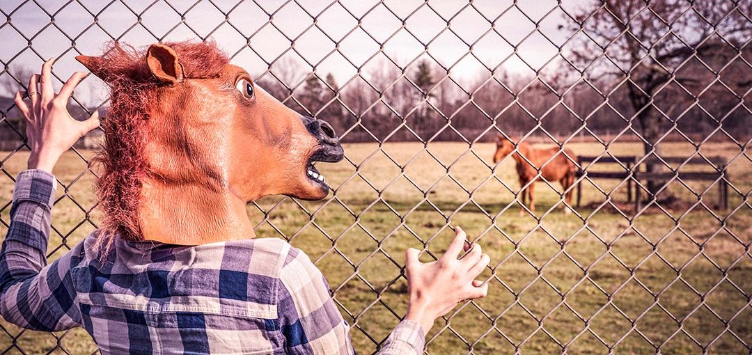 Workshop: Komt te voet, gaat te paard